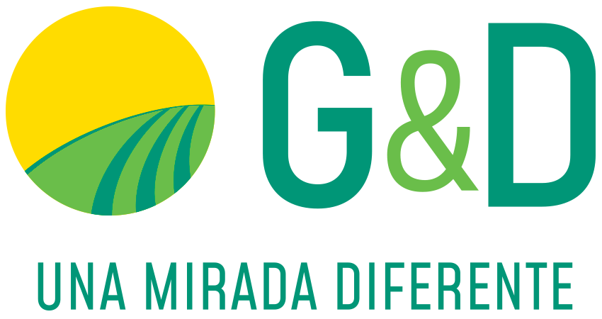 Logo Estudio G&D