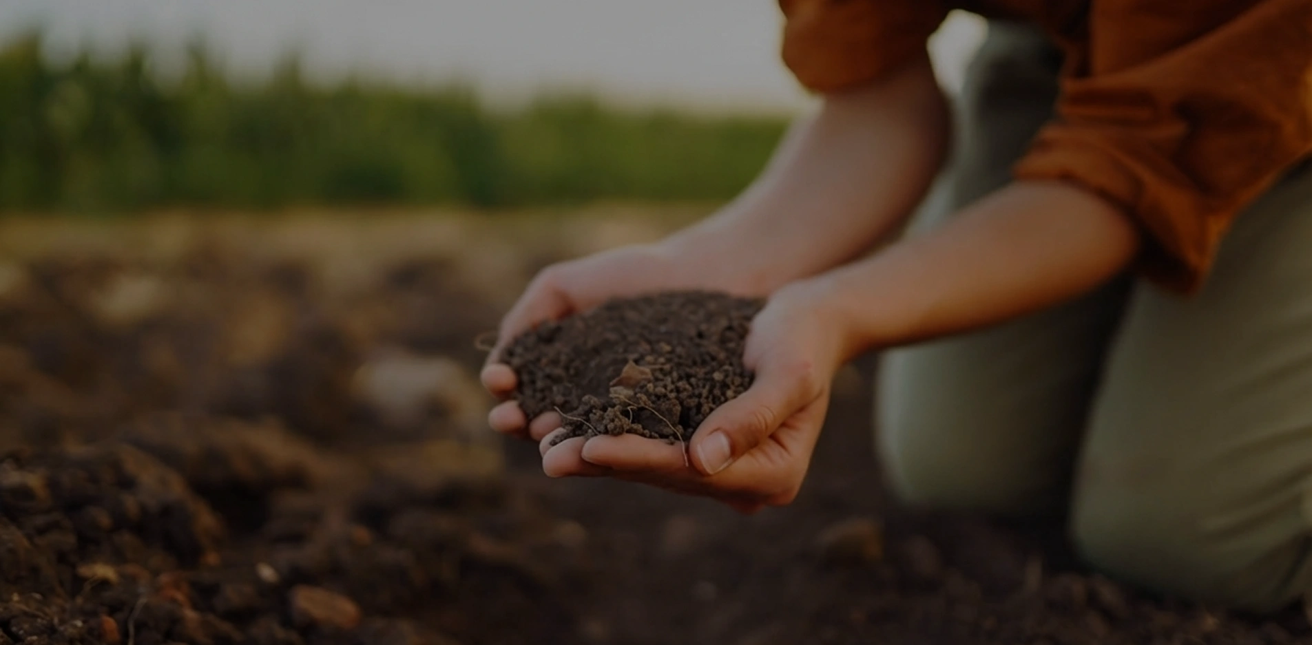 Hands holding soil